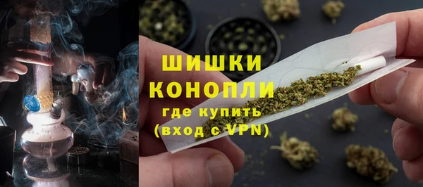 прущая мука Каменка