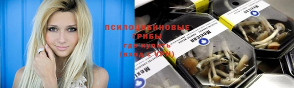 прущая мука Каменка