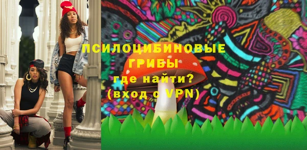 прущая мука Каменка